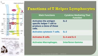 Main Functions Cytokine Mediating That
Function
Activates the antigen
specific helper T cell to
produce a clone of these
cells.
IL-2
Activates cytotoxic T cells. IL-2
Activates B cells. IL-4 and IL-5
Activates Macrophages. Interferon Gamma
09/02/24
Prof. Sreerama Krupanidhi
12
 