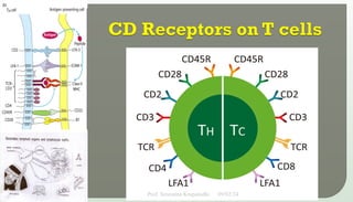 09/02/24
Prof. Sreerama Krupanidhi
13
 