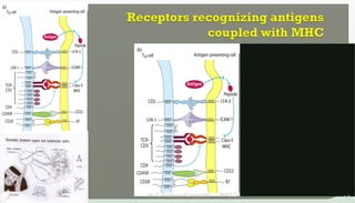 09/02/24
Prof. Sreerama Krupanidhi
15
 