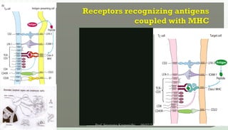 09/02/24
Prof. Sreerama Krupanidhi
16
 