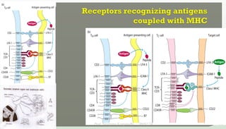 09/02/24
Prof. Sreerama Krupanidhi
17
 