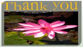 09/02/24
22
Prof. Sreerama Krupanidhi
 