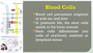  Blood cell precursors originate
in yolk sac and liver
 In postnatal life, the stem cells
reside in the bone marrow
 Stem cells differentiate into
cells of erythroid, myeloid or
lymphoid series
09/02/24
Prof. Sreerama Krupanidhi
5
 