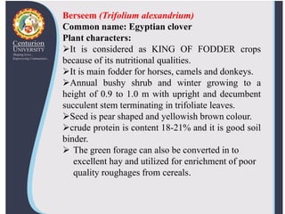 crop production Technology -2 Lecture-16 | PDF