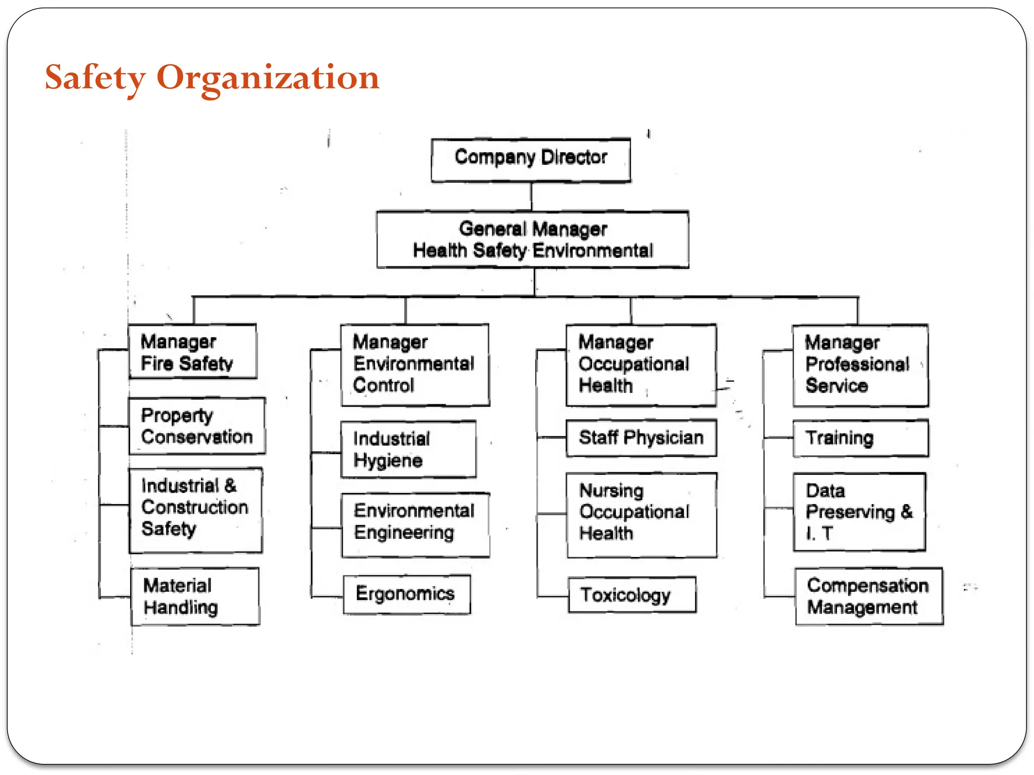Safety Organization
 