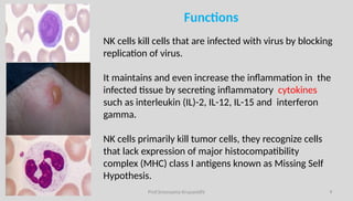Kill A Cell Lecture-16 Natural Killer Cell and its anti-cancerous attributes pptx ...