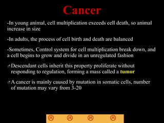 Cancer
-In young animal, cell multiplication exceeds cell death, so animal
increase in size
-In adults, the process of cell birth and death are balanced
-Sometimes, Control system for cell multiplication break down, and
a cell begins to grow and divide in an unregulated fashion
Descendant cells inherit this property proliferate without
responding to regulation, forming a mass called a tumor
A cancer is mainly caused by mutation in somatic cells, number
of mutation may vary from 3-20
   
 