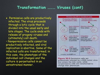 CANCER Basic Oncology and viral agents.pdf