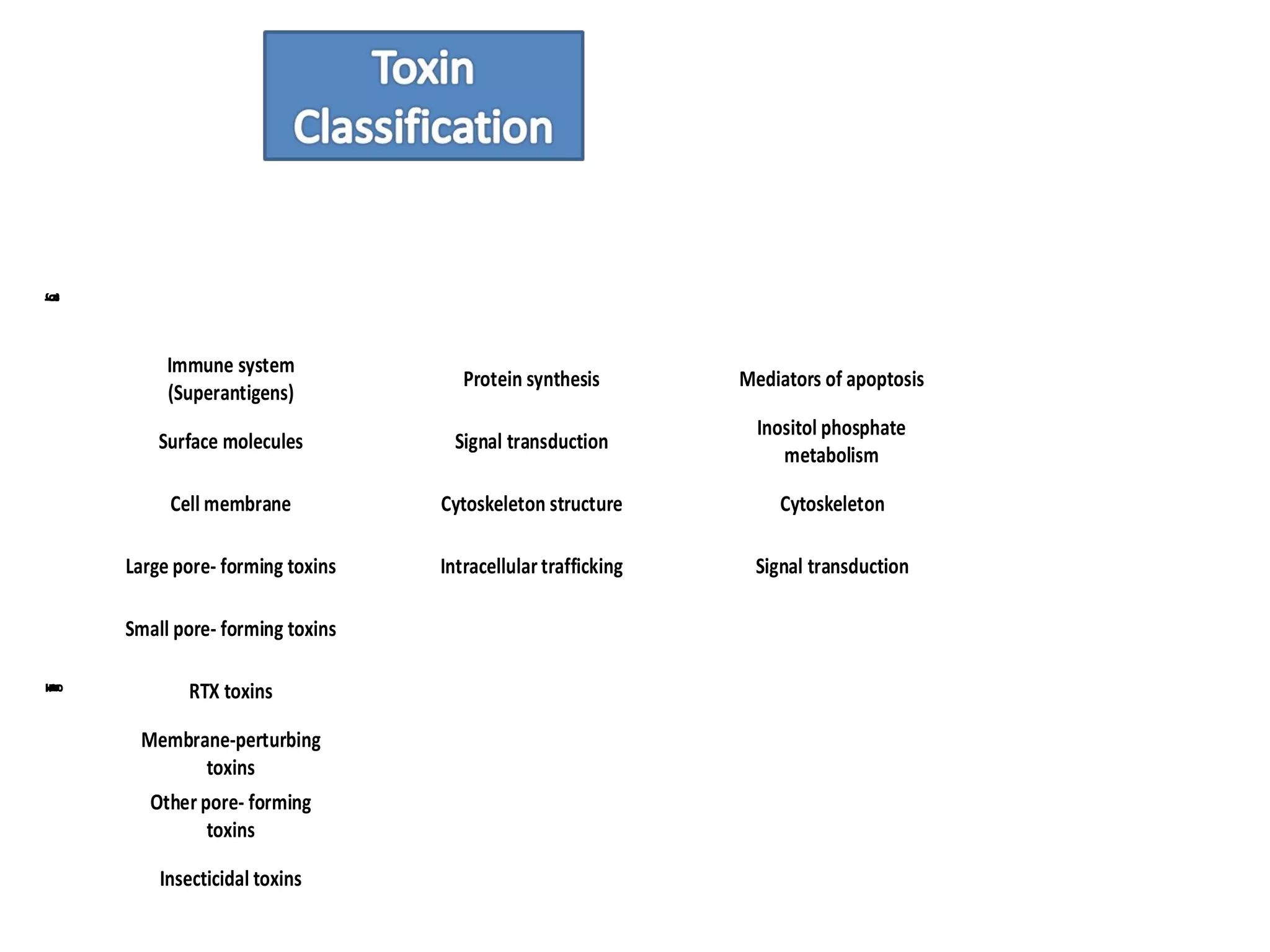 Acting on
intracellular
targets
Injected into
eukaryotic cells
Unknown
mechanism of
action
Acting on the
cell surface
Immune system
(Superantigens)
ClassTarget
Surface molecules
Cell membrane
Large pore- forming toxins
Small pore- forming toxins
Insecticidal toxins
Membrane-perturbing
toxins
Other pore- forming
toxins
RTX toxins
Protein synthesis Mediators of apoptosis
Signal transduction
Cytoskeleton structure
Intracellular trafficking
Inositol phosphate
metabolism
Cytoskeleton
Signal transduction
 