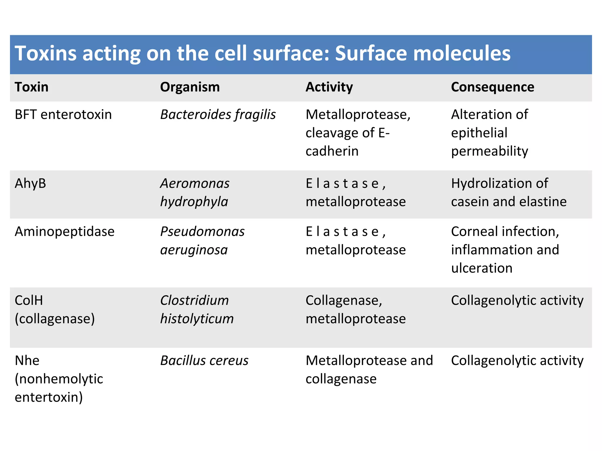 Toxins acting on the cell surface: Surface molecules
Toxin Organism Activity Consequence
BFT enterotoxin Bacteroides fragilis Metalloprotease,
cleavage of E-
cadherin
Alteration of
epithelial
permeability
AhyB Aeromonas
hydrophyla
E l a s t a s e ,
metalloprotease
Hydrolization of
casein and elastine
Aminopeptidase Pseudomonas
aeruginosa
E l a s t a s e ,
metalloprotease
Corneal infection,
inflammation and
ulceration
ColH
(collagenase)
Clostridium
histolyticum
Collagenase,
metalloprotease
Collagenolytic activity
Nhe
(nonhemolytic
entertoxin)
Bacillus cereus Metalloprotease and
collagenase
Collagenolytic activity
 