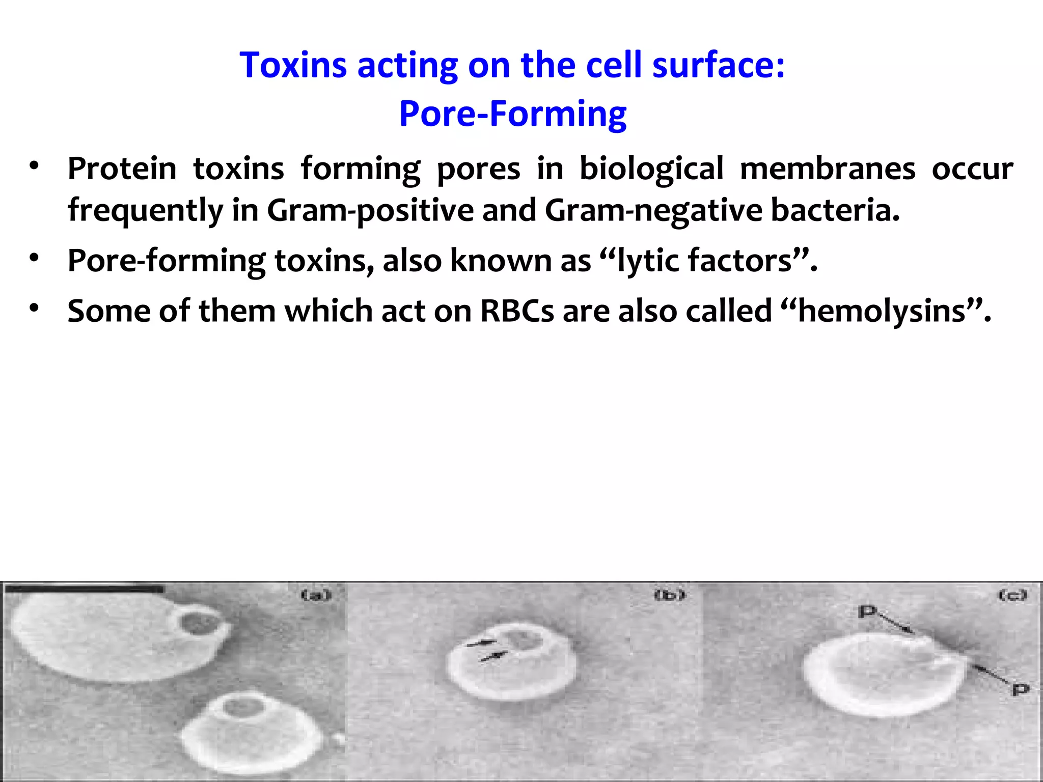 Toxins acting on the cell surface:
Pore-Forming
• Protein toxins forming pores in biological membranes occur
frequently in Gram-positive and Gram-negative bacteria.
• Pore-forming toxins, also known as “lytic factors”.
• Some of them which act on RBCs are also called “hemolysins”.
 