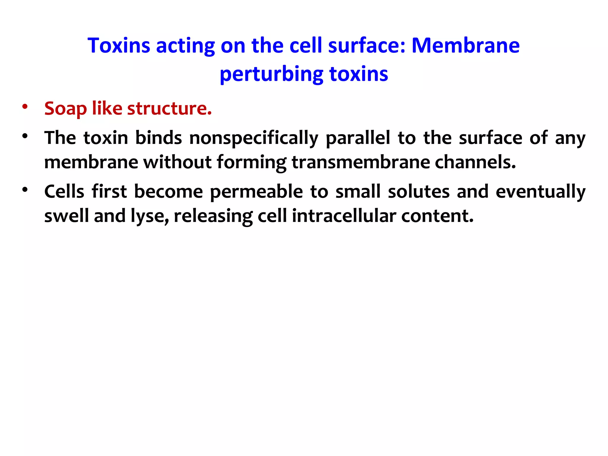 Toxins acting on the cell surface: Membrane
perturbing toxins
• Soap like structure.
• The toxin binds nonspecifically parallel to the surface of any
membrane without forming transmembrane channels.
• Cells first become permeable to small solutes and eventually
swell and lyse, releasing cell intracellular content.
 