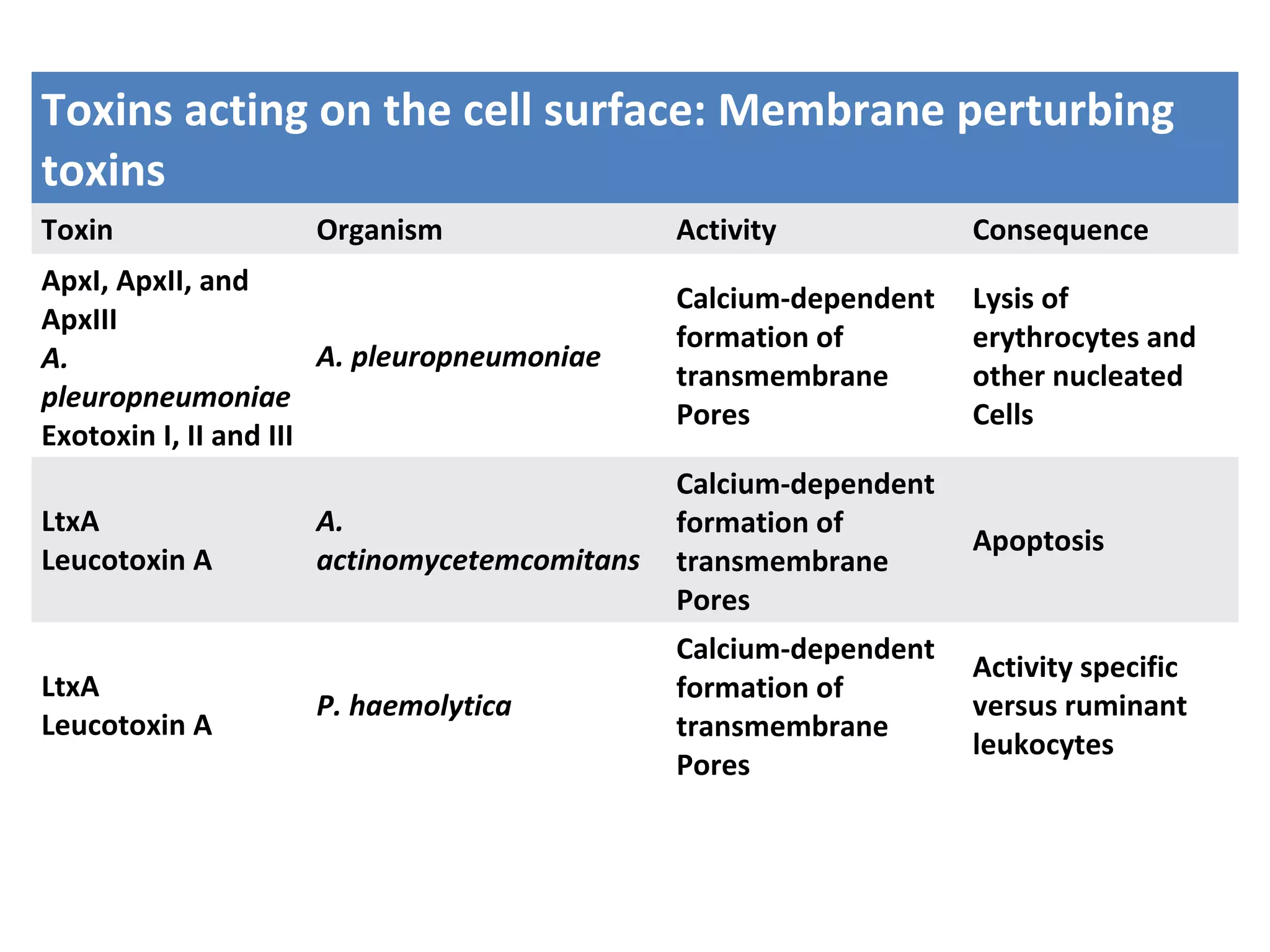 Toxins acting on the cell surface: Membrane perturbing
toxins
Toxin Organism Activity Consequence
ApxI, ApxII, and
ApxIII
A.
pleuropneumoniae
Exotoxin I, II and III
A. pleuropneumoniae
Calcium-dependent
formation of
transmembrane
Pores
Lysis of
erythrocytes and
other nucleated
Cells
LtxA
Leucotoxin A
A.
actinomycetemcomitans
Calcium-dependent
formation of
transmembrane
Pores
Apoptosis
LtxA
Leucotoxin A
P. haemolytica
Calcium-dependent
formation of
transmembrane
Pores
Activity specific
versus ruminant
leukocytes
 
