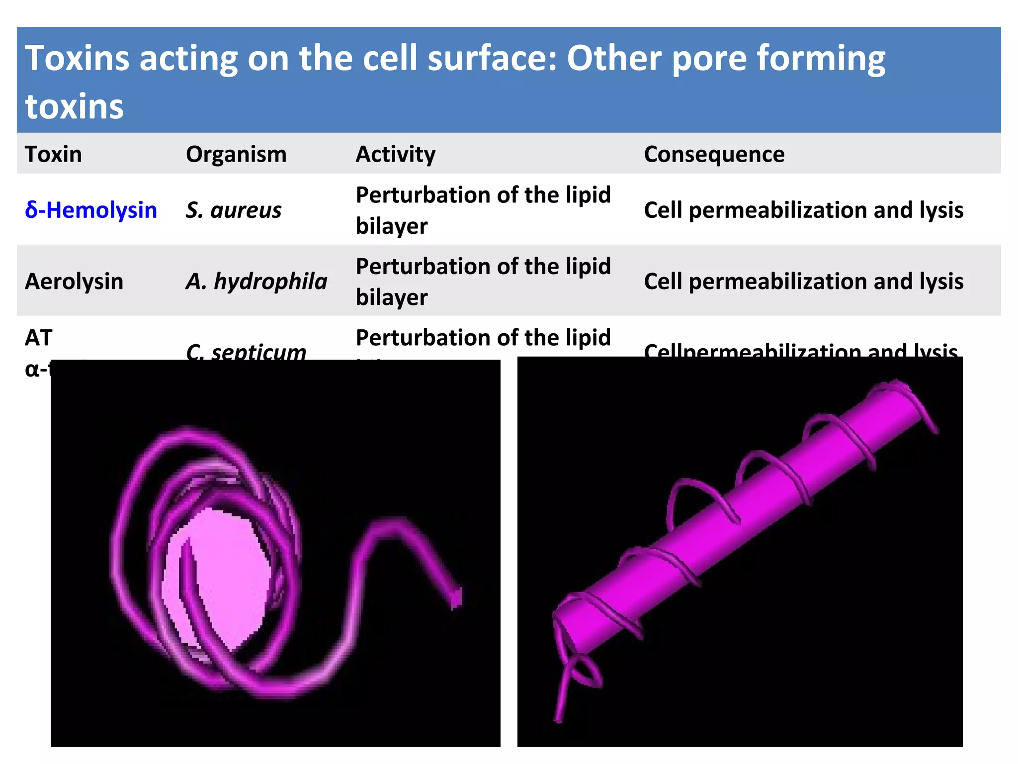 Toxins acting on the cell surface: Other pore forming
toxins
Toxin Organism Activity Consequence
δ-Hemolysin S. aureus
Perturbation of the lipid
bilayer
Cell permeabilization and lysis
Aerolysin A. hydrophila
Perturbation of the lipid
bilayer
Cell permeabilization and lysis
AT
α-toxin
C. septicum
Perturbation of the lipid
bilayer
Cellpermeabilization and lysis
 