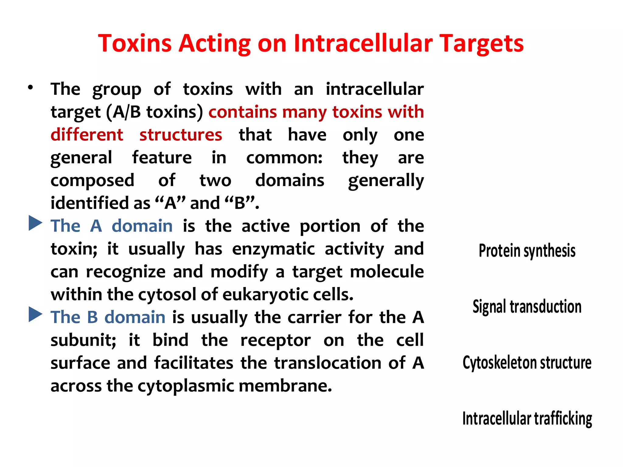 Toxins Acting on Intracellular Targets
• The group of toxins with an intracellular
target (A/B toxins) contains many toxins with
different structures that have only one
general feature in common: they are
composed of two domains generally
identified as “A” and “B”.
 The A domain is the active portion of the
toxin; it usually has enzymatic activity and
can recognize and modify a target molecule
within the cytosol of eukaryotic cells.
 The B domain is usually the carrier for the A
subunit; it bind the receptor on the cell
surface and facilitates the translocation of A
across the cytoplasmic membrane.
Actingon
intracellular
targets
Actingonthe
cell surface
Immune system
(Superantigens)
Class
Surface molecules
Cellmembrane
Largepore-forming toxins
Proteinsynthesis
Signal transduction
Cytoskeletonstructure
Intracellulartrafficking
 