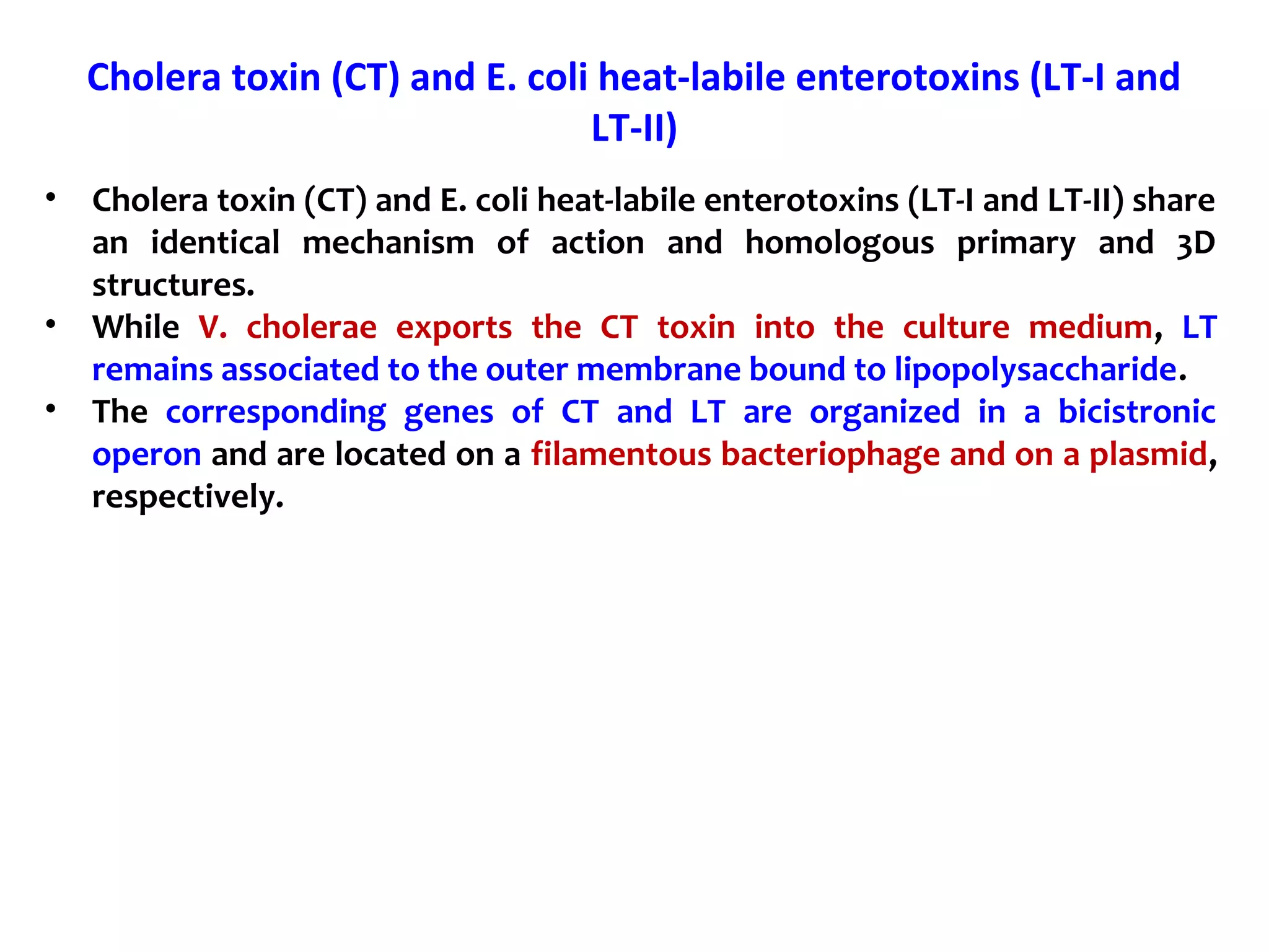 Cholera toxin (CT) and E. coli heat-labile enterotoxins (LT-I and
LT-II)
• Cholera toxin (CT) and E. coli heat-labile enterotoxins (LT-I and LT-II) share
an identical mechanism of action and homologous primary and 3D
structures.
• While V. cholerae exports the CT toxin into the culture medium, LT
remains associated to the outer membrane bound to lipopolysaccharide.
• The corresponding genes of CT and LT are organized in a bicistronic
operon and are located on a filamentous bacteriophage and on a plasmid,
respectively.
 