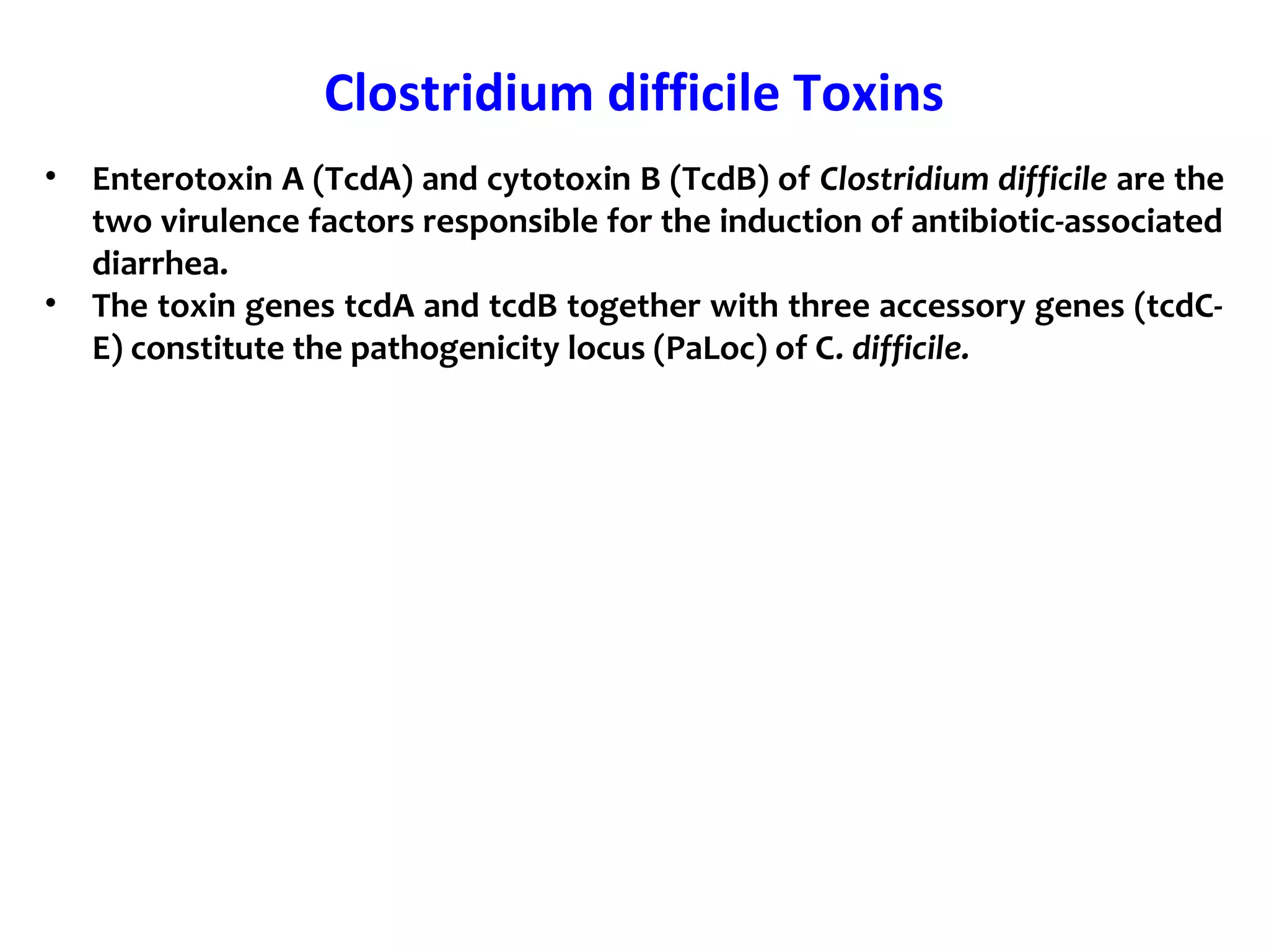 Clostridium difficile Toxins
• Enterotoxin A (TcdA) and cytotoxin B (TcdB) of Clostridium difficile are the
two virulence factors responsible for the induction of antibiotic-associated
diarrhea.
• The toxin genes tcdA and tcdB together with three accessory genes (tcdC-
E) constitute the pathogenicity locus (PaLoc) of C. difficile.
 