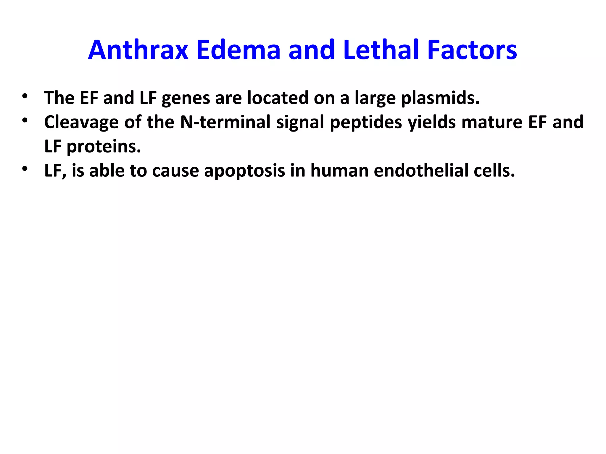 Anthrax Edema and Lethal Factors
• The EF and LF genes are located on a large plasmids.
• Cleavage of the N-terminal signal peptides yields mature EF and
LF proteins.
• LF, is able to cause apoptosis in human endothelial cells.
 