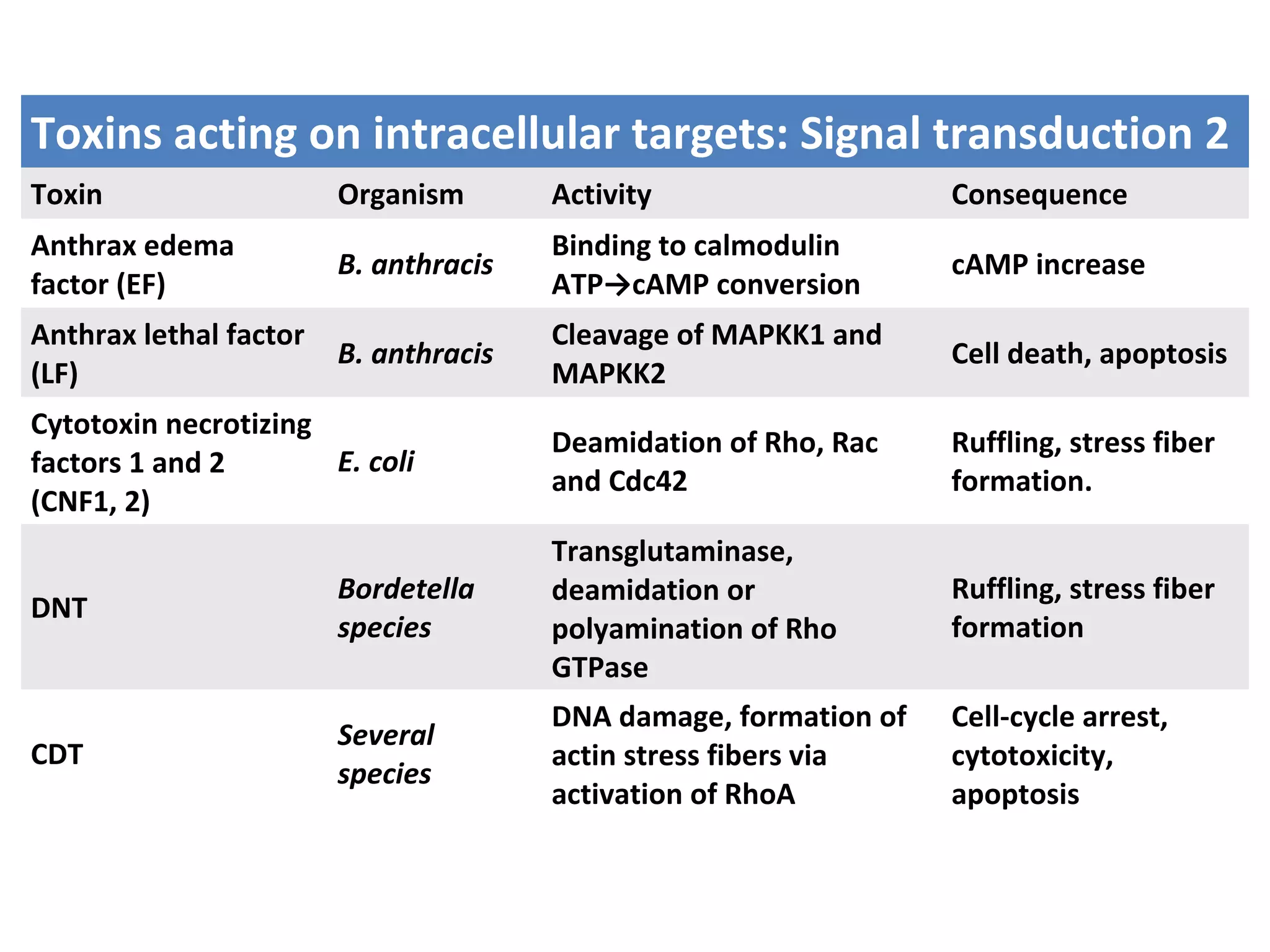 Toxins acting on intracellular targets: Signal transduction 2
Toxin Organism Activity Consequence
Anthrax edema
factor (EF)
B. anthracis
Binding to calmodulin
ATP→cAMP conversion
cAMP increase
Anthrax lethal factor
(LF)
B. anthracis
Cleavage of MAPKK1 and
MAPKK2
Cell death, apoptosis
Cytotoxin necrotizing
factors 1 and 2
(CNF1, 2)
E. coli
Deamidation of Rho, Rac
and Cdc42
Ruffling, stress fiber
formation.
DNT
Bordetella
species
Transglutaminase,
deamidation or
polyamination of Rho
GTPase
Ruffling, stress fiber
formation
CDT
Several
species
DNA damage, formation of
actin stress fibers via
activation of RhoA
Cell-cycle arrest,
cytotoxicity,
apoptosis
 