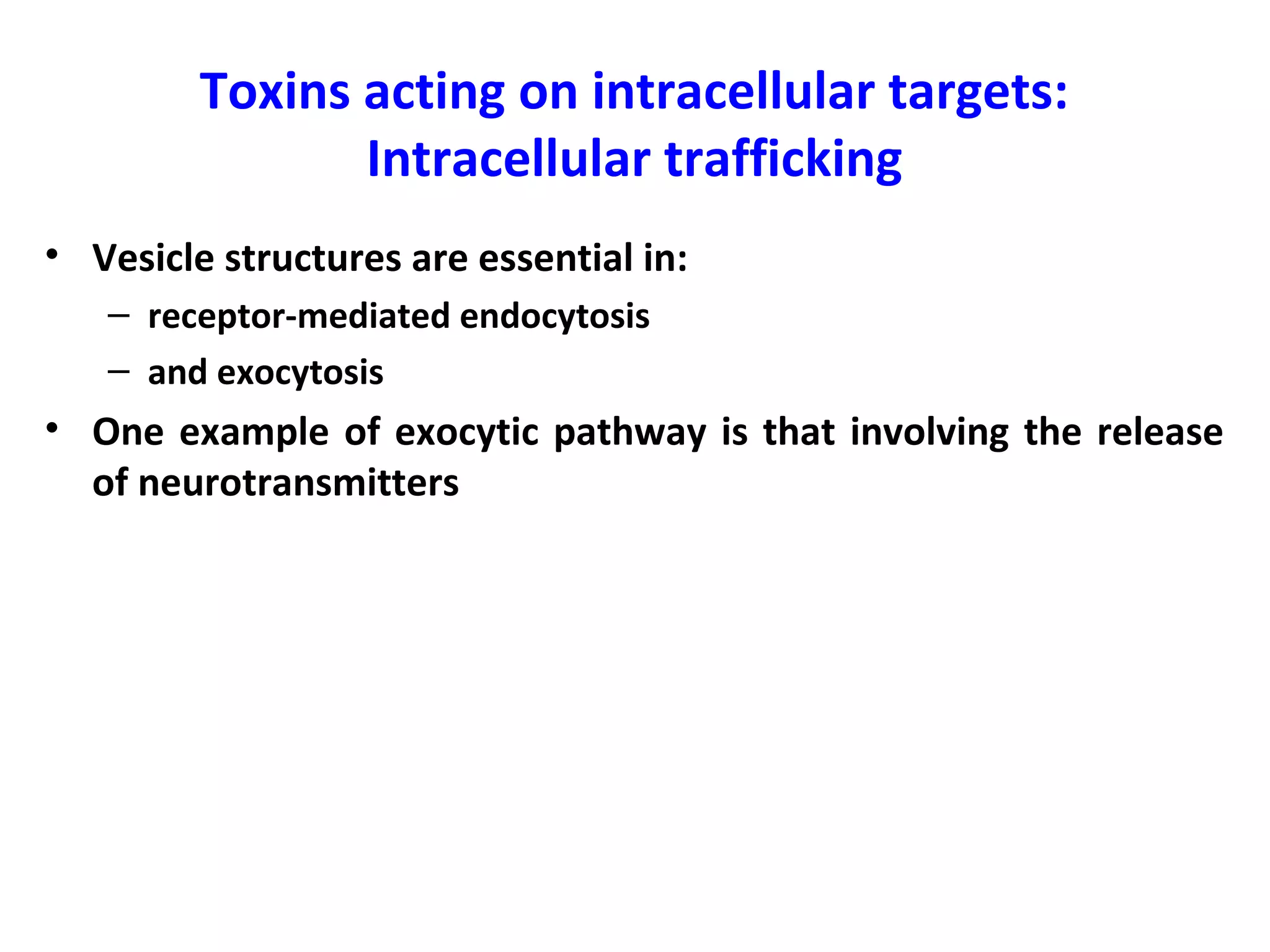 Toxins acting on intracellular targets:
Intracellular trafficking
• Vesicle structures are essential in:
– receptor-mediated endocytosis
– and exocytosis
• One example of exocytic pathway is that involving the release
of neurotransmitters
 