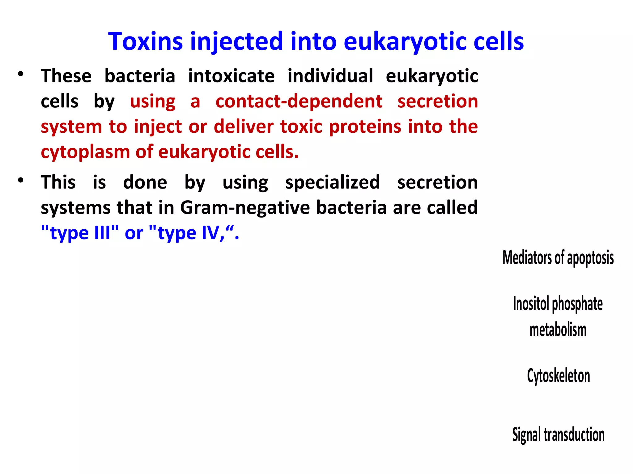 Toxins injected into eukaryotic cells
• These bacteria intoxicate individual eukaryotic
cells by using a contact-dependent secretion
system to inject or deliver toxic proteins into the
cytoplasm of eukaryotic cells.
• This is done by using specialized secretion
systems that in Gram-negative bacteria are called
"type III" or "type IV,“.
Actingon
intracellular
targets
Injectedinto
eukaryoticcells
Actingonthe
cellsurface
Immunesystem
(Superantigens)
Class
Surfacemolecules
Cellmembrane
Largepore-formingtoxins
Proteinsynthesis Mediatorsofapoptosis
Signaltransduction
Cytoskeletonstructure
Intracellulartrafficking
Inositolphosphate
metabolism
Cytoskeleton
Signaltransduction
 