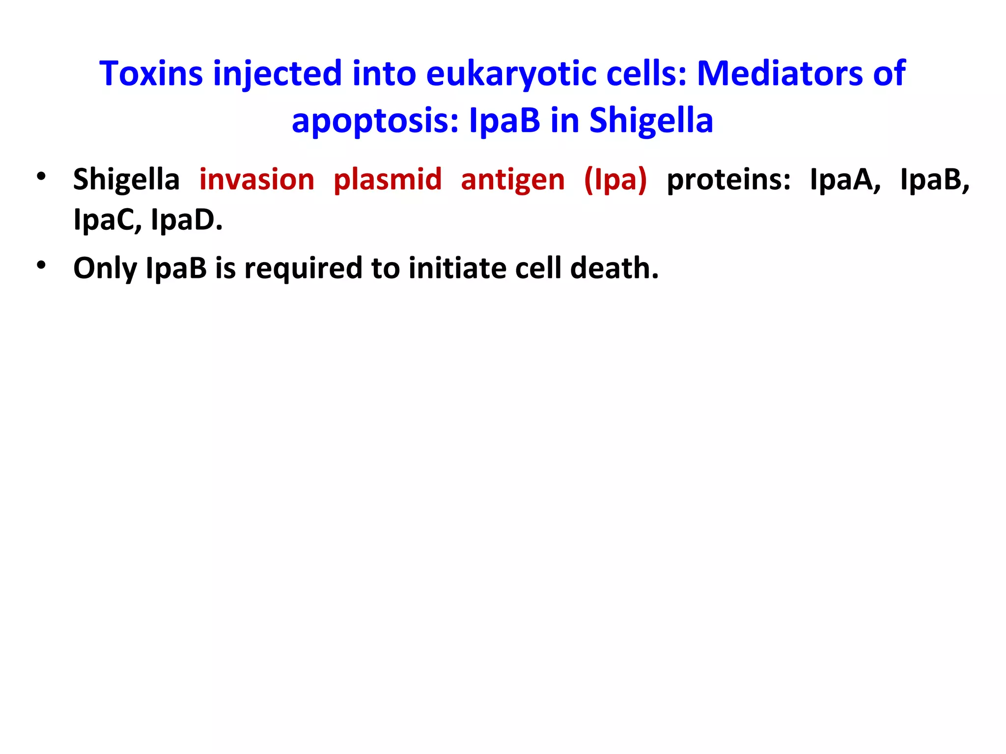 Toxins injected into eukaryotic cells: Mediators of
apoptosis: IpaB in Shigella
• Shigella invasion plasmid antigen (Ipa) proteins: IpaA, IpaB,
IpaC, IpaD.
• Only IpaB is required to initiate cell death.
 