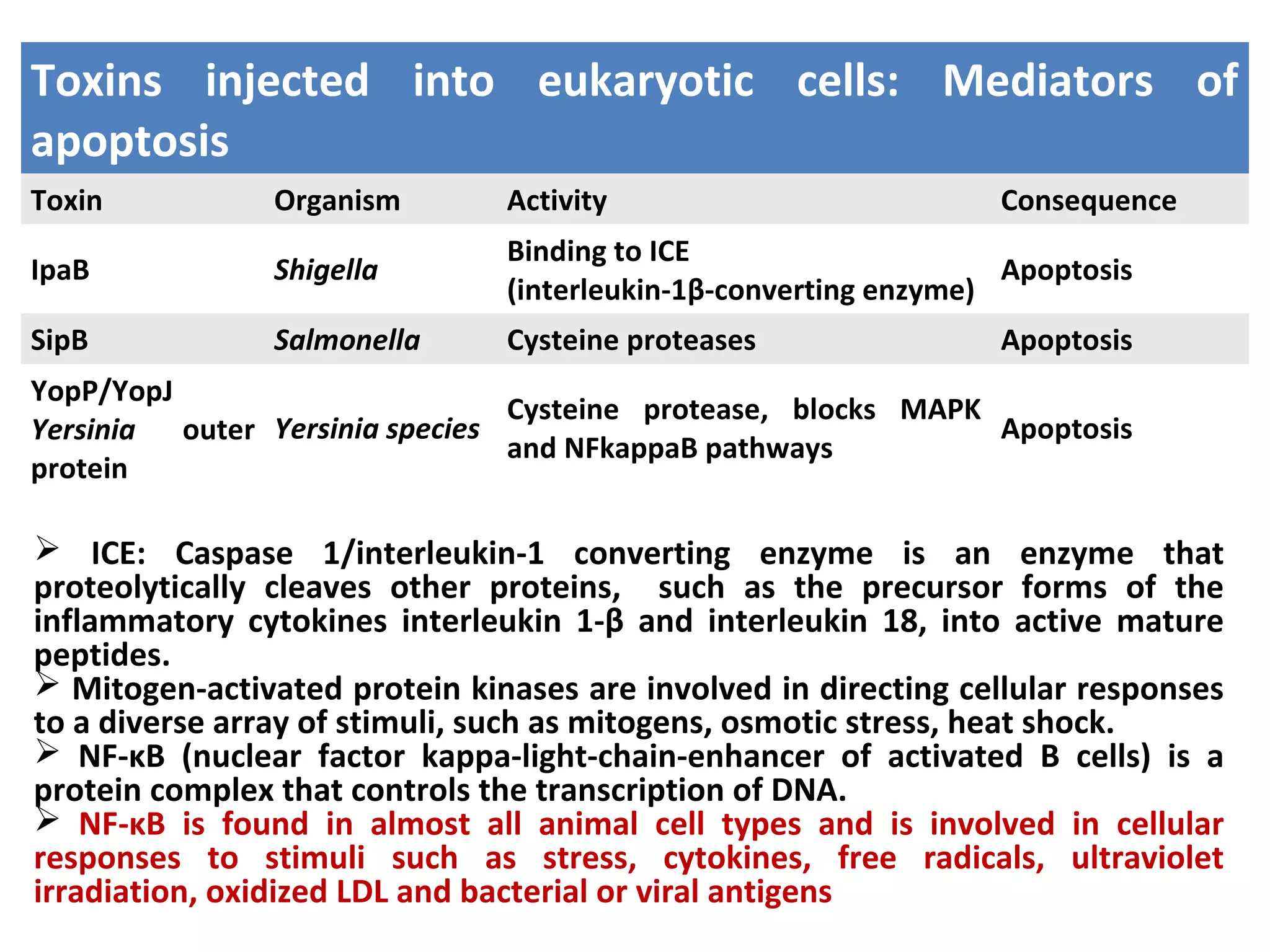 Toxins injected into eukaryotic cells: Mediators of
apoptosis
Toxin Organism Activity Consequence
IpaB Shigella
Binding to ICE
(interleukin-1β-converting enzyme)
Apoptosis
SipB Salmonella Cysteine proteases Apoptosis
YopP/YopJ
Yersinia outer
protein
Yersinia species
Cysteine protease, blocks MAPK
and NFkappaB pathways
Apoptosis
 ICE: Caspase 1/interleukin-1 converting enzyme is an enzyme that
proteolytically cleaves other proteins, such as the precursor forms of the
inflammatory cytokines interleukin 1-β and interleukin 18, into active mature
peptides.
 Mitogen-activated protein kinases are involved in directing cellular responses
to a diverse array of stimuli, such as mitogens, osmotic stress, heat shock.
 NF-κB (nuclear factor kappa-light-chain-enhancer of activated B cells) is a
protein complex that controls the transcription of DNA.
 NF-κB is found in almost all animal cell types and is involved in cellular
responses to stimuli such as stress, cytokines, free radicals, ultraviolet
irradiation, oxidized LDL and bacterial or viral antigens
 