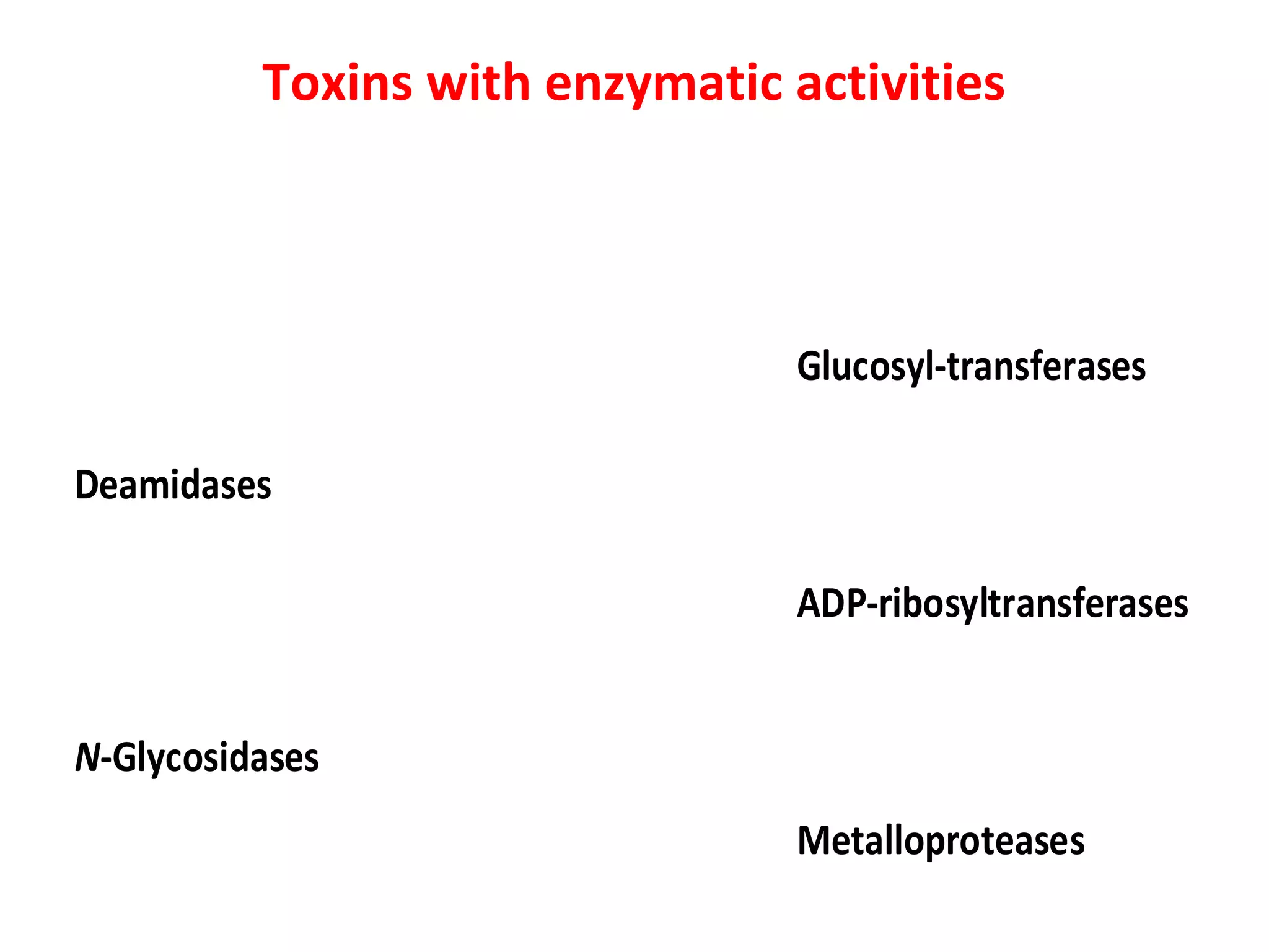 Toxins with enzymatic activities
Enzymatic activities
Glucosyl-transferases
Deamidases
ADP-ribosyltransferases
N-Glycosidases
Metalloproteases
 