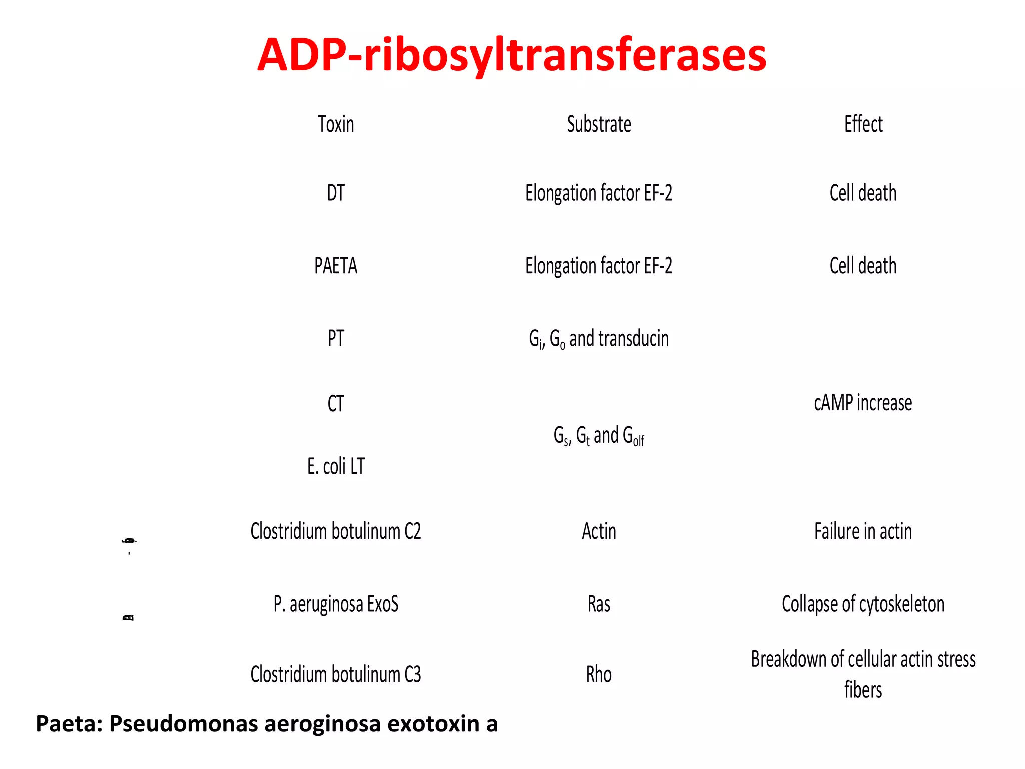 ADP-ribosyltransferases
DT ElongationfactorEF-2 Celldeath
PAETA ElongationfactorEF-2 Celldeath
PT Gi,Go andtransducin
CT
Gs,Gt andGolf
cAMPincrease
E.coli LT
Clostridium botulinumC2 Actin Failureinactin
P.aeruginosaExoS Ras Collapseofcytoskeleton
Clostridium botulinumC3 Rho
Breakdownofcellularactin stress
fibers
ADP-ribosyltransferases Toxin Substrate Effect
Paeta: Pseudomonas aeroginosa exotoxin a
 