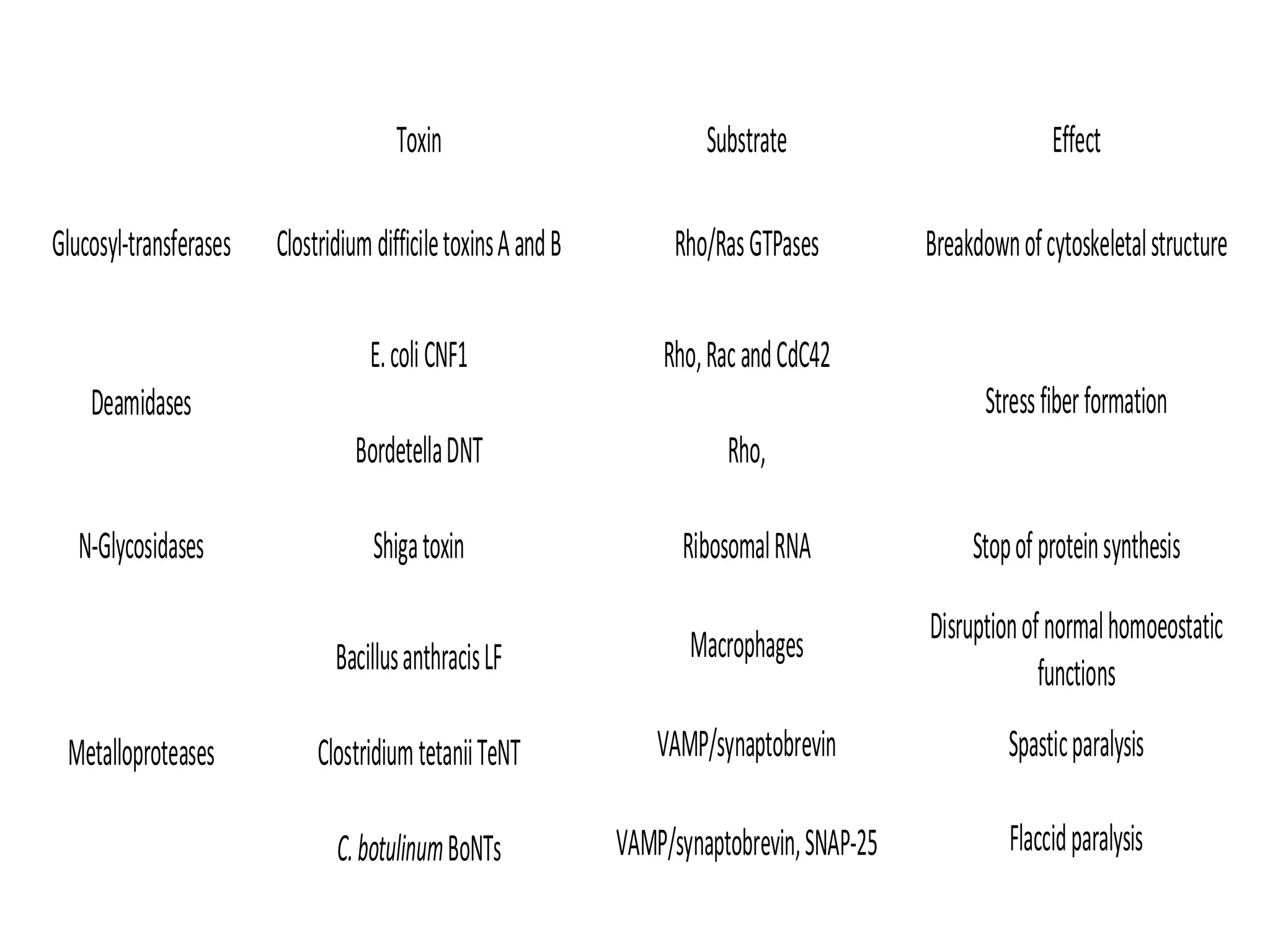 ClostridiumdifficiletoxinsAandB Rho/RasGTPases Breakdownofcytoskeletalstructure
Toxin Substrate Effect
Glucosyl-transferases
Deamidases
E.coliCNF1 Rho,RacandCdC42
BordetellaDNT Rho,
Stressfiberformation
Shigatoxin RibosomalRNA
Disruptionofnormalhomoeostatic
functions
N-Glycosidases
Metalloproteases
BacillusanthracisLF Macrophages
ClostridiumtetaniiTeNT VAMP/synaptobrevin Spasticparalysis
FlaccidparalysisC.botulinumBoNTs VAMP/synaptobrevin,SNAP-25
Stopofproteinsynthesis
 