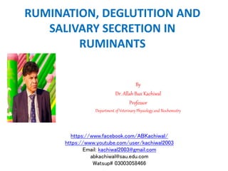 RUMINATION, DEGLUTITION AND
SALIVARY SECRETION IN
RUMINANTS
By
Dr. Allah Bux Kachiwal
Professor
Department of Veterinary Physiology and Biochemistry
https://www.facebook.com/ABKachiwal/
https://www.youtube.com/user/kachiwal2003
Email: kachiwal2003@gmail.com
abkachiwal@sau.edu.com
Watsup# 03003058466
 
