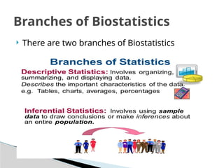 Comprehensive Biostatistics and Research Methodology Fundamentals | PPTX