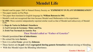 Mendel Life
• Mendel read his paper 1865 in Natural History Society on “EXPRIMENT IN PLANT HYBRIDIZATION”
• This paper mainly on Pea Plant.
• This paper then translated in English language by William Bateson in 1901.
• Mendel's work not recognized that time because Mendel used Mathematics in his experiment. .
• In 1900- Three scientist independently reported similar result as that of Mendel and rediscovery of Mendel
work.
• 1. Hugo de Varies in Holland- Oenothera
2. Carl Correns in Germany- Maize and Pea.
3. Erich Von Tsermack in Austria- Pea
Then Mendel called as “Father of Genetics”
• Mendel postulated law of inheritance.
• He coined the term factors.
• Now it is called Gene- given by Johnson.
• These factors are in pair which segregated during gamete formation without mixing or blending.
• With this Mendel reject the Blending inheritance.
Genetics © Bio-Geek
 
