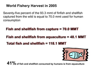 World Fishery Harvest in 2005
Fish and shellfish from capture = 70.0 MMT
Fish and shellfish from aquaculture = 48.1 MMT
Total fish and shellfish = 118.1 MMT
41%of fish and shellfish consumed by humans is from aquaculture
Seventy-five percent of the 93.3 mmt of finfish and shellfish
captured from the wild is equal to 70.0 mmt used for human
consumption
 
