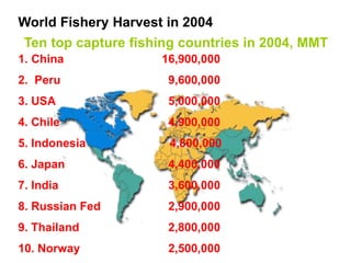 1. China 16,900,000
2. Peru 9,600,000
3. USA 5,000,000
4. Chile 4,900,000
5. Indonesia 4,800,000
6. Japan 4,400,000
7. India 3,600,000
8. Russian Fed 2,900,000
9. Thailand 2,800,000
10. Norway 2,500,000
World Fishery Harvest in 2004
Ten top capture fishing countries in 2004, MMT
 