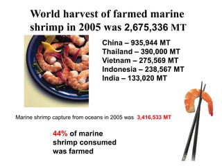 World harvest of farmed marine
shrimp in 2005 was 2,675,336 MT
China – 935,944 MT
Thailand – 390,000 MT
Vietnam – 275,569 MT
Indonesia – 238,567 MT
India – 133,020 MT
Marine shrimp capture from oceans in 2005 was 3,416,533 MT
44% of marine
shrimp consumed
was farmed
 