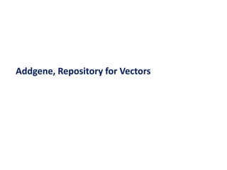 Addgene, Repository for Vectors
 