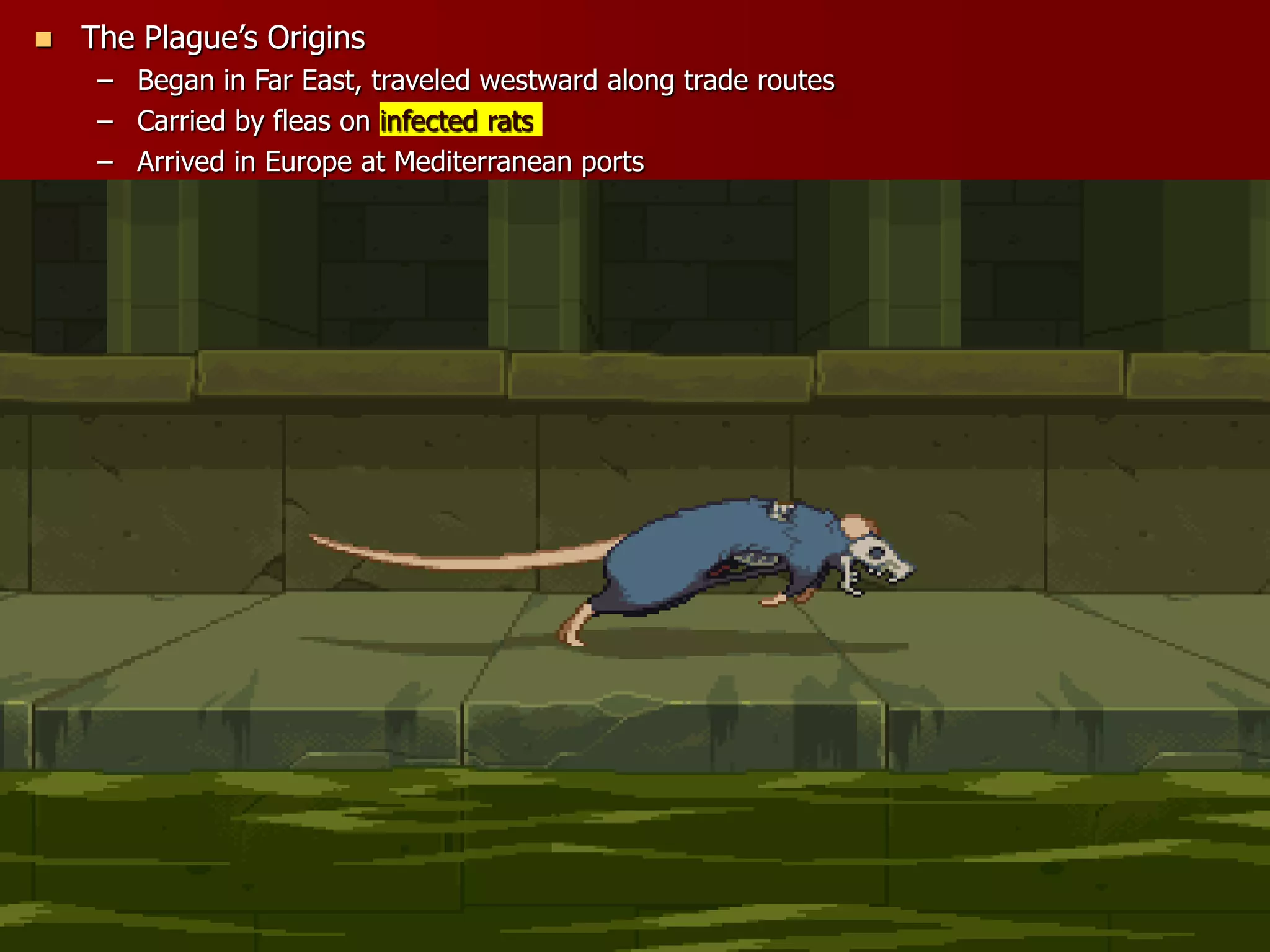  The Plague’s Origins
– Began in Far East, traveled westward along trade routes
– Carried by fleas on infected rats
– Arrived in Europe at Mediterranean ports
 