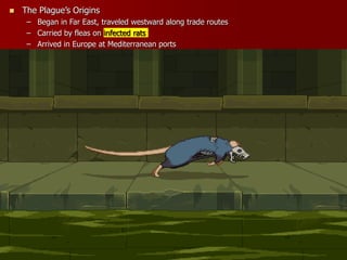  The Plague’s Origins
– Began in Far East, traveled westward along trade routes
– Carried by fleas on infected rats
– Arrived in Europe at Mediterranean ports
 