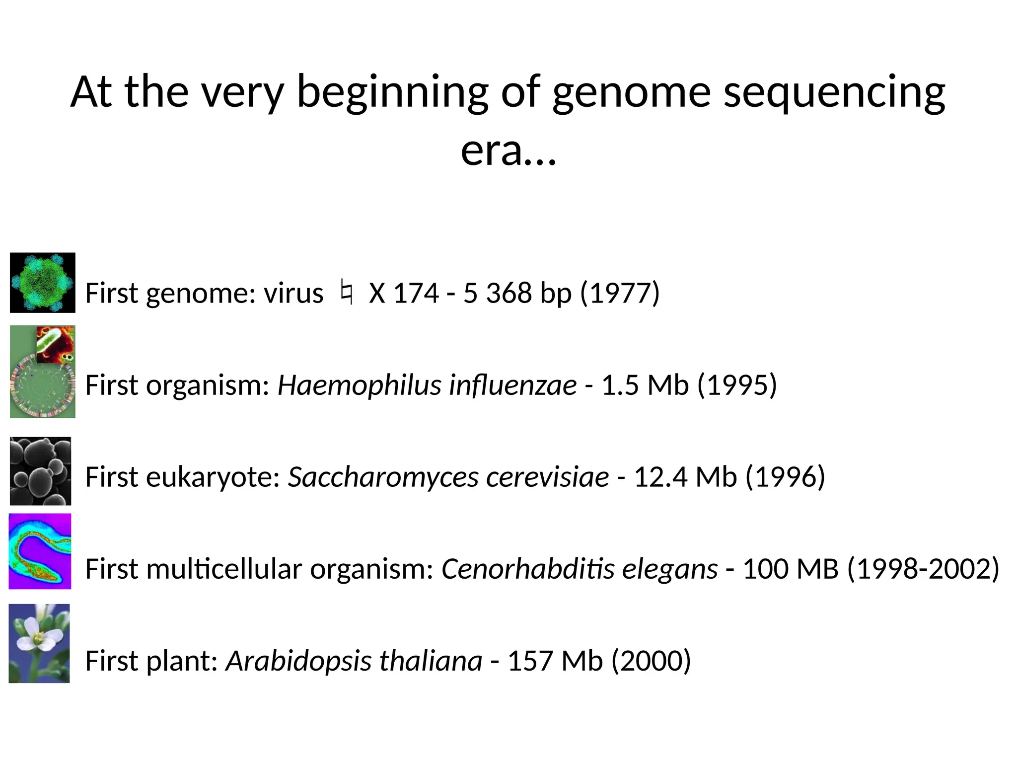 At the very beginning of genome sequencing
era…
• First genome: virus  X 174 - 5 368 bp (1977)
• First organism: Haemophilus influenzae - 1.5 Mb (1995)
• First eukaryote: Saccharomyces cerevisiae - 12.4 Mb (1996)
• First multicellular organism: Cenorhabditis elegans - 100 MB (1998-2002)
• First plant: Arabidopsis thaliana - 157 Mb (2000)
 