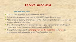 Cervical neoplasia
Transformation Zone
►Continuous change in ecto & endocervical lining
►Before puberty squamo-columnar junction (SCJ) situated in internal os
►At the onset of puberty, after pregnancy the columnar epithelium extends towards
ectocervix beyond external os
►This columnar epithelium in ectocervical region gets exposed to low pH of vaginal
mucus which in time undergoes squamous metaplasia(SM)
►The epithelium between the changing SCJ’s are the most labile and prone to
premalignant and malignant change- Transformation Zone
 