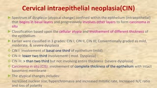 Cervical intraepithelial neoplasia(CIN)
►Spectrum of dysplasia (atypical change) confined within the epithelium (intraepithelial)
that begins in basal layers and progressively involves other layers to form carcinoma in
situ
►Classification based upon the cellular atypia and involvement of different thickness of
the epithelium
►Earlier were classified in 3 grades: CIN I, CIN II, CIN III; Conventionally graded as mild,
moderate, & severe dysplasia
v CIN I: involvement of basal one third of epithelium (mild)
v CIN II: lower two third involvement ( mod. Dysplasia)
v CIN III: > than two third but not involving entire thickness (severe dysplasia)
v Carcinoma in situ (CIS): involvement of complete thickness of the epithelium with intact
basement membrane
►The atypical changes includes:
- Increased nuclear size, hyperchromasia and increased mitotic rate, Increased N/C ratio
and loss of polarity
 