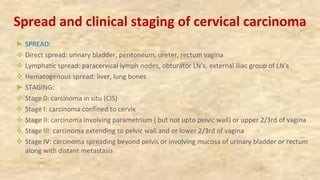 Spread and clinical staging of cervical carcinoma
► SPREAD:
v Direct spread: urinary bladder, peritoneum, ureter, rectum vagina
v Lymphatic spread: paracervical lymph nodes, obturator LN’s, external iliac group of LN’s
v Hematogenous spread: liver, lung bones
► STAGING:
v Stage 0: carcinoma in situ (CIS)
v Stage I: carcinoma confined to cervix
v Stage II: carcinoma involving parametrium ( but not upto pelvic wall) or upper 2/3rd of vagina
v Stage III: carcinoma extending to pelvic wall and or lower 2/3rd of vagina
v Stage IV: carcinoma spreading beyond pelvis or involving mucosa of urinary bladder or rectum
along with distant metastasis
 