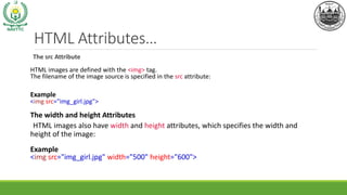 HTML Basics, Tags and Elements, the properties of elements | PDF