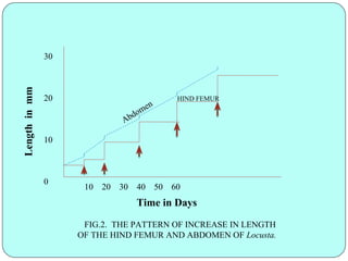 Comprehensive Overview of Insect Growth, Development, and Reproduction ...