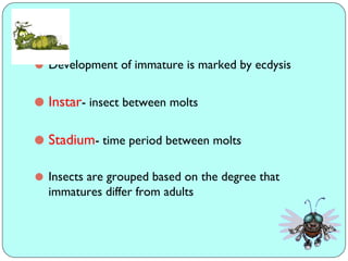 Insect Stadium Comprehensive Overview of Insect Growth, Development, and Reproduction ...