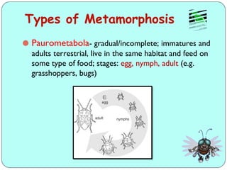 Comprehensive Overview of Insect Growth, Development, and Reproduction ...