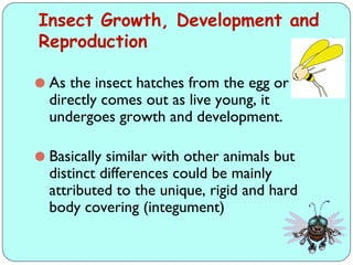 Comprehensive Overview of Insect Growth, Development, and Reproduction ...