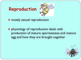 Comprehensive Overview of Insect Growth, Development, and Reproduction ...
