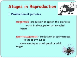Comprehensive Overview of Insect Growth, Development, and Reproduction ...